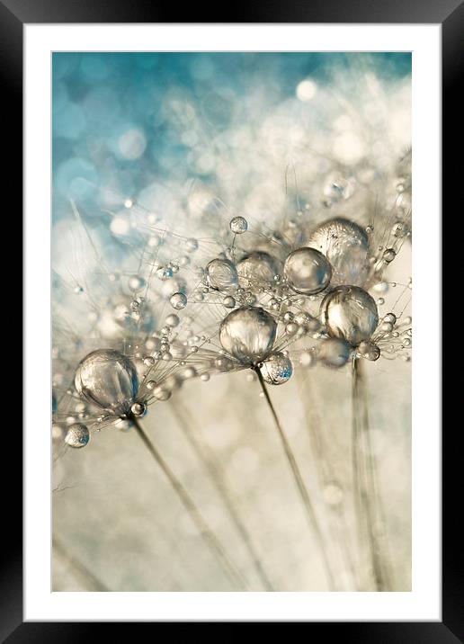 Sapphire & Silver Sparkle Framed Mounted Print by Sharon Johnstone