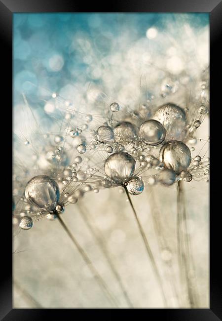 Sapphire & Silver Sparkle Framed Print by Sharon Johnstone