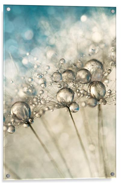 Sapphire & Silver Sparkle Acrylic by Sharon Johnstone