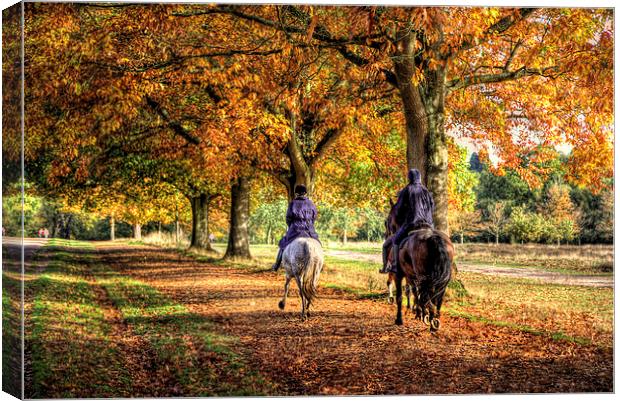 Windsor Park Autumn Horses Canvas Print by Simon West