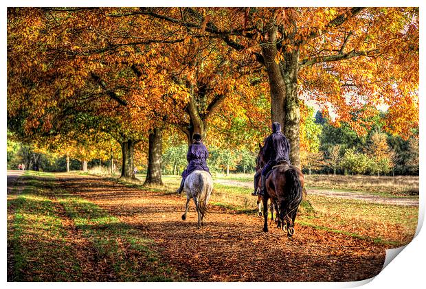 Windsor Park Autumn Horses Print by Simon West