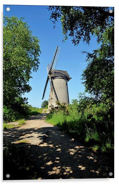 Bidston Hill Windmill Acrylic by Frank Irwin