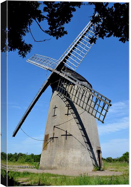 Bidston Hill Windmill Canvas Print by Frank Irwin