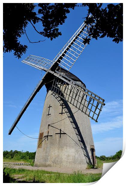 Bidston Hill Windmill Print by Frank Irwin