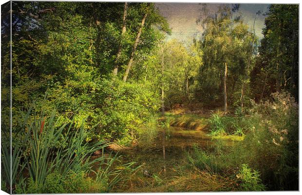 River at Dilham, Norfolk Canvas Print by Julie Coe