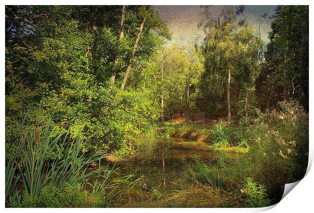 River at Dilham, Norfolk Print by Julie Coe