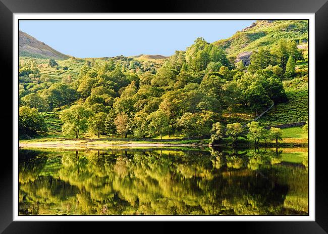 Rydal Reflections Framed Print by eric carpenter