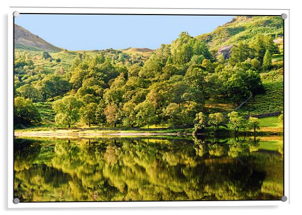 Rydal Reflections Acrylic by eric carpenter