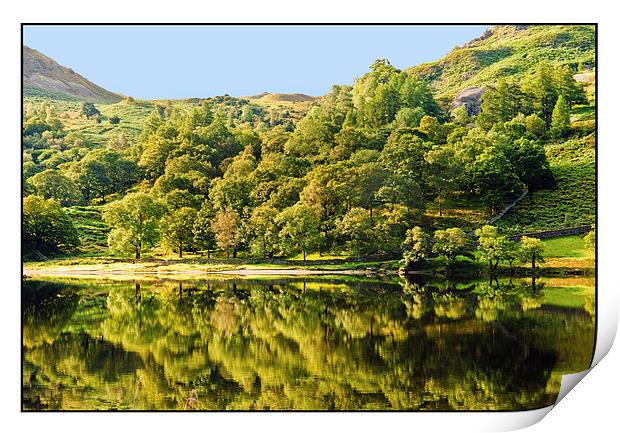 Rydal Reflections Print by eric carpenter