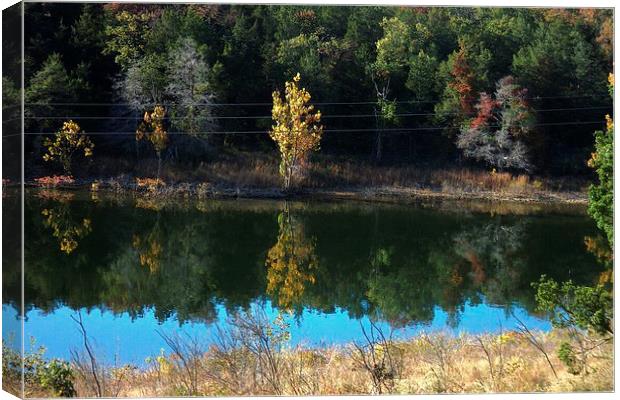 Cove Canvas Print by Pics by Jody Adams