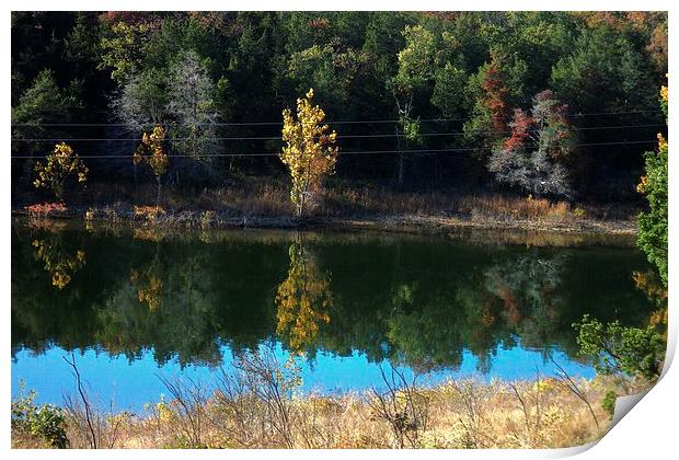 Cove Print by Pics by Jody Adams