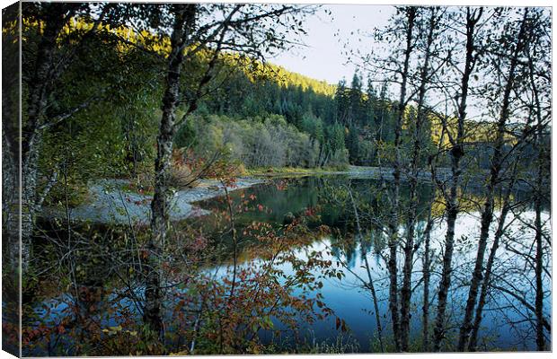 Late Day Reflections Canvas Print by Belinda Greb