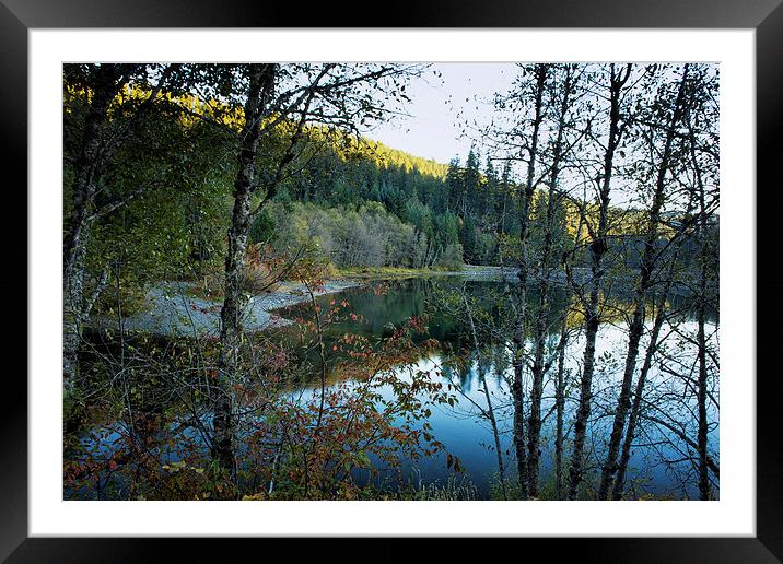 Late Day Reflections Framed Mounted Print by Belinda Greb