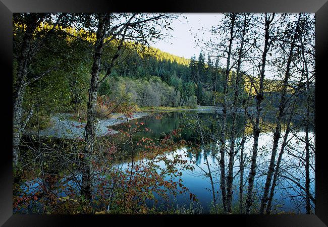 Late Day Reflections Framed Print by Belinda Greb