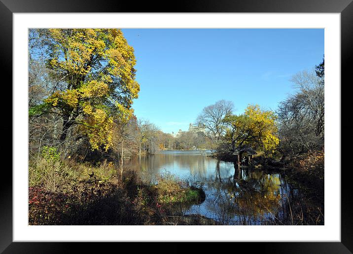 Central Park New York in the fall Framed Mounted Print by Maria Carter
