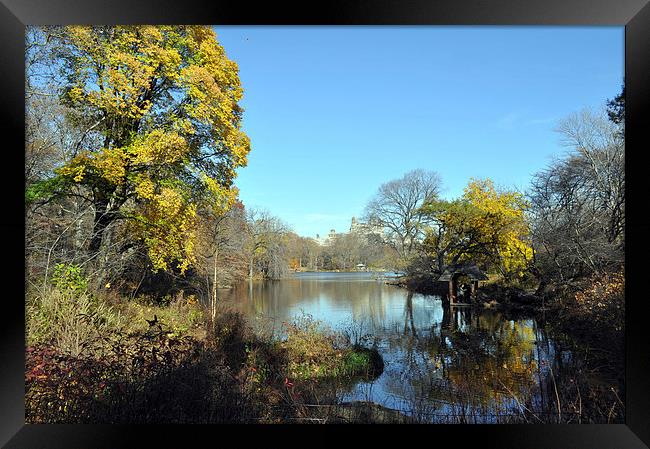Central Park New York in the fall Framed Print by Maria Carter