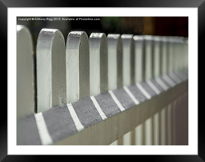 Picket Fence Framed Mounted Print by Anthony Rigg