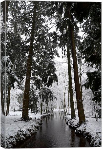 Blackwater in Winter part 2 Canvas Print by Alan Sutton