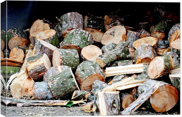 The picture shows timber ‘logged up’ Canvas Print by Frank Irwin
