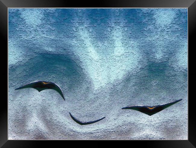 Birds R Framed Print by Ferenc Kalmar