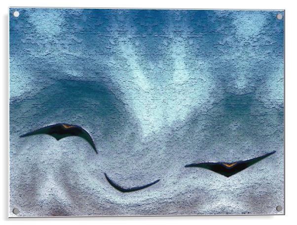 Birds R Acrylic by Ferenc Kalmar