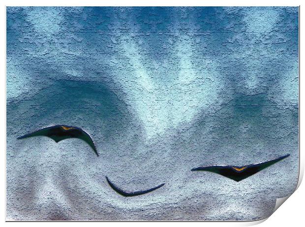 Birds R Print by Ferenc Kalmar
