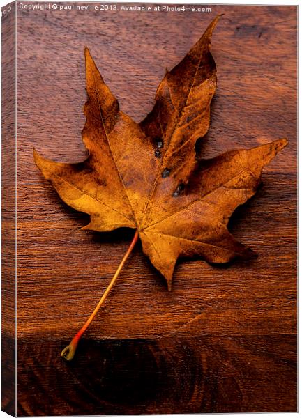 autumn leaf on wood Canvas Print by paul neville