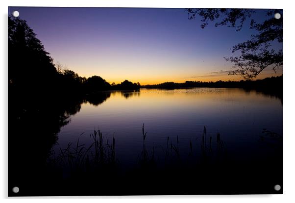 Lake Sunrise Acrylic by Darren Burroughs