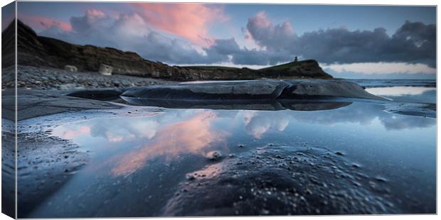 Rock Pool Reflections Canvas Print by Phil Wareham