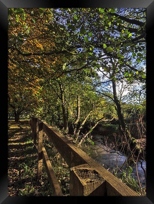 Autumn By The Stream Framed Print by keith sayer