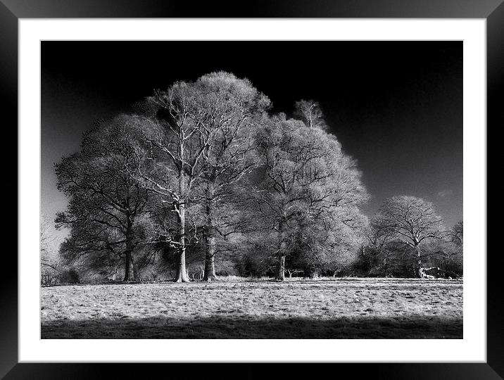 Moulton Grange in Infra Red Framed Mounted Print by Stephen Wakefield