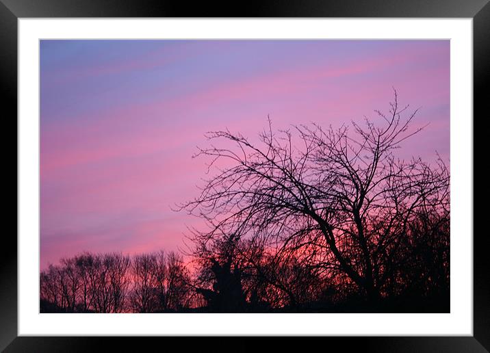 Sky Blue Pink Framed Mounted Print by sam mitchell