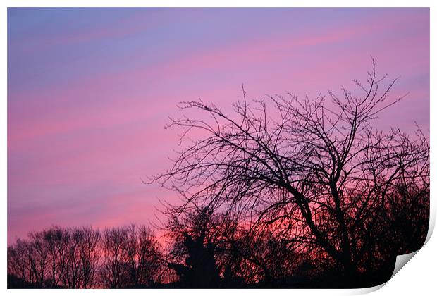 Sky Blue Pink Print by sam mitchell