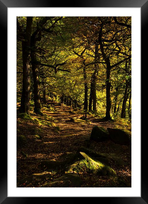 Padley Gorge Trail Framed Mounted Print by John Dunbar