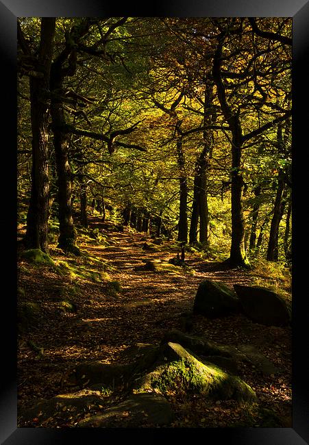 Padley Gorge Trail Framed Print by John Dunbar