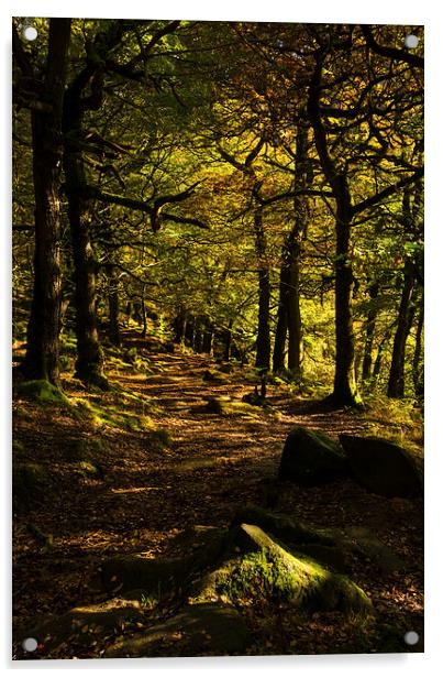 Padley Gorge Trail Acrylic by John Dunbar