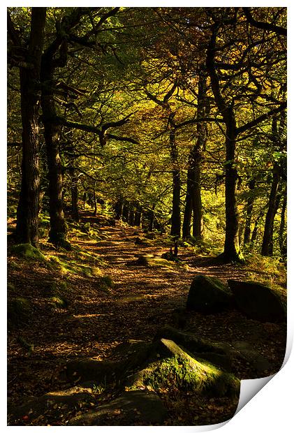 Padley Gorge Trail Print by John Dunbar