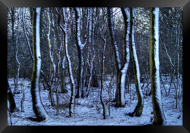 snow tree Framed Print by chief rocka