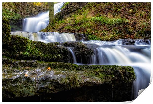 Scaleber Force Print by Steven Purcell