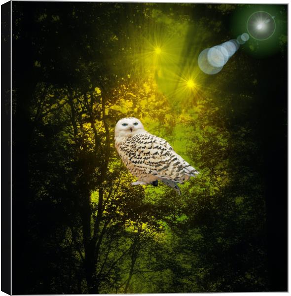 The Owls Hideaway. Canvas Print by Heather Goodwin