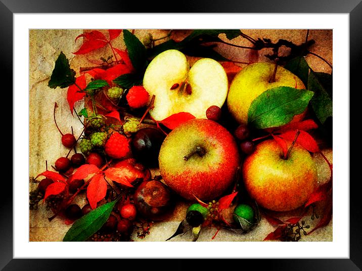 shades of autumn Framed Mounted Print by sue davies