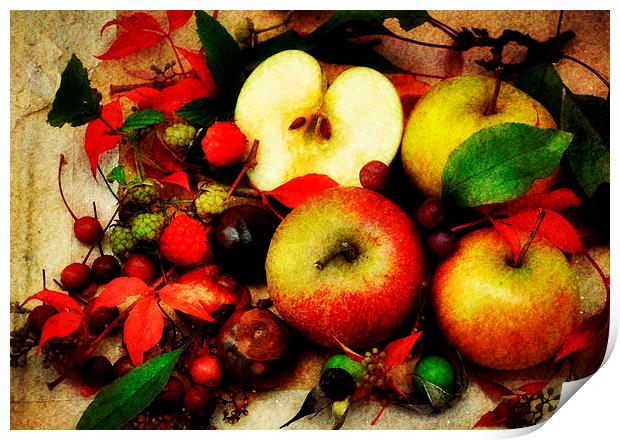 shades of autumn Print by sue davies