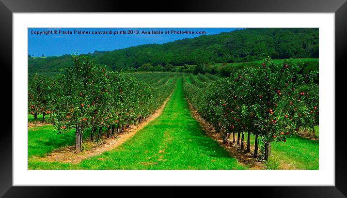 Apple orchard Framed Mounted Print by Paula Palmer canvas