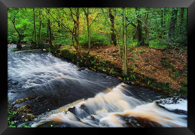 Roscoe Weir, Rivelin Framed Print by Darren Galpin