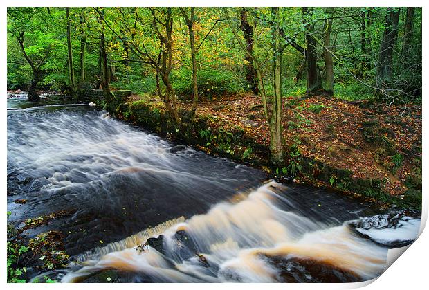 Roscoe Weir, Rivelin Print by Darren Galpin