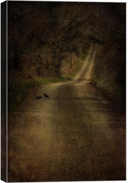 Birds On The Road Canvas Print by Julie Coe