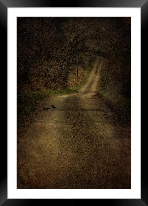 Birds On The Road Framed Mounted Print by Julie Coe