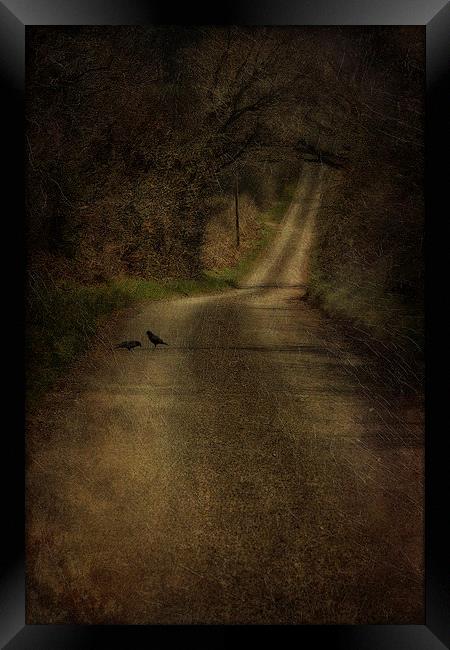 Birds On The Road Framed Print by Julie Coe