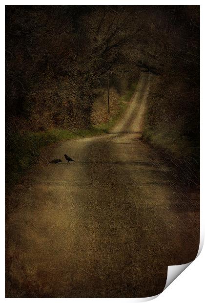 Birds On The Road Print by Julie Coe