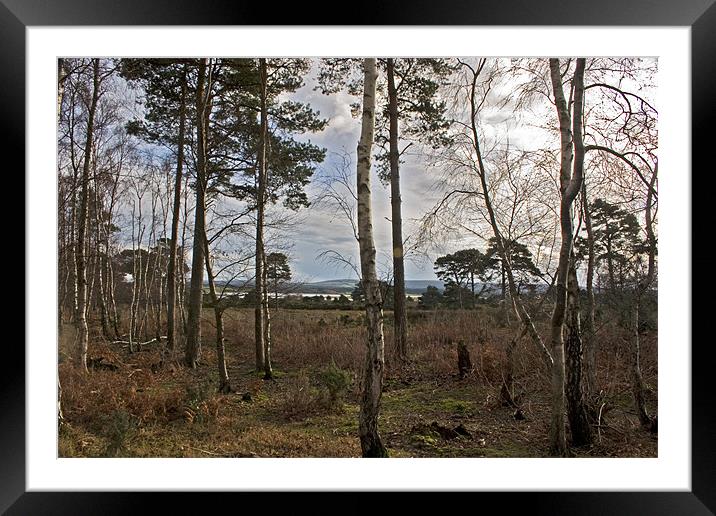 Tranquil Arne  Framed Mounted Print by Mike Crew